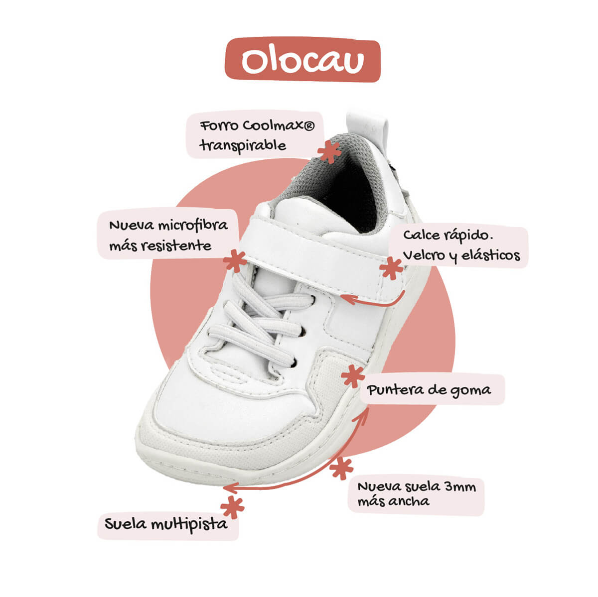 Modelo Olocau