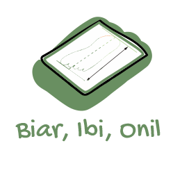 guia tallas biar ibi onil