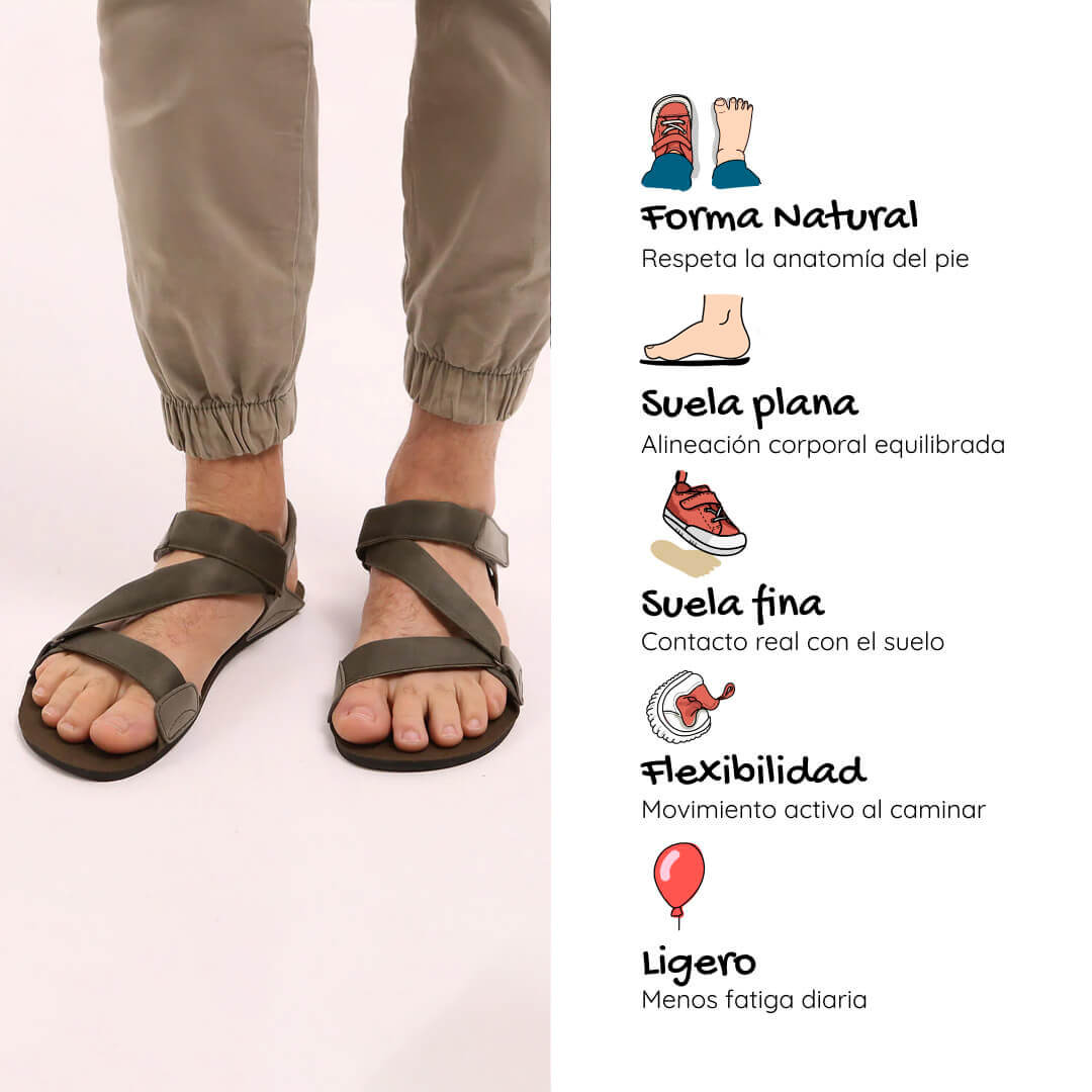 Oliva Hombre ss26 adulto caracteristicas 2