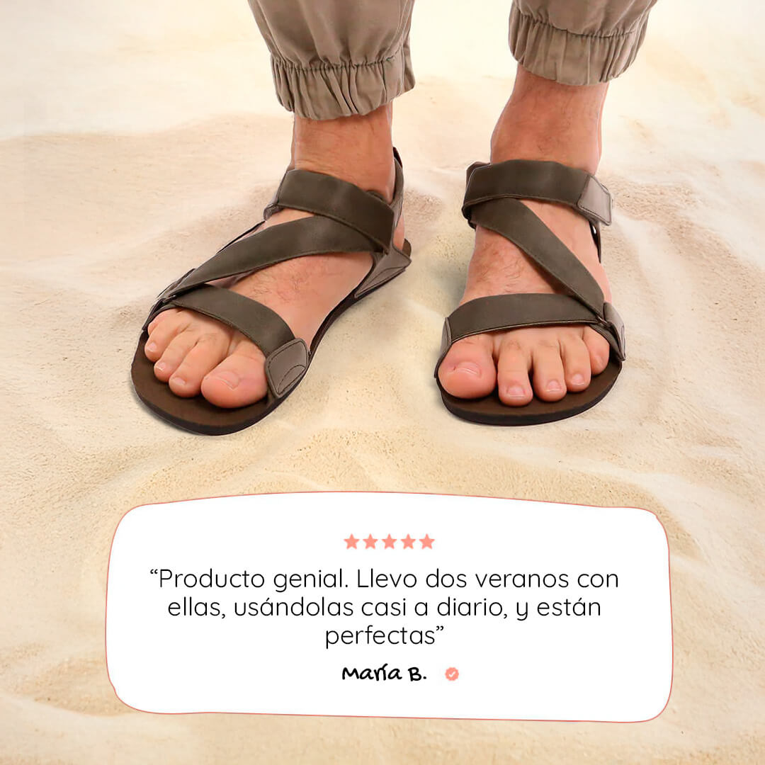 Oliva Hombre ss26 adulto caracteristicas 3