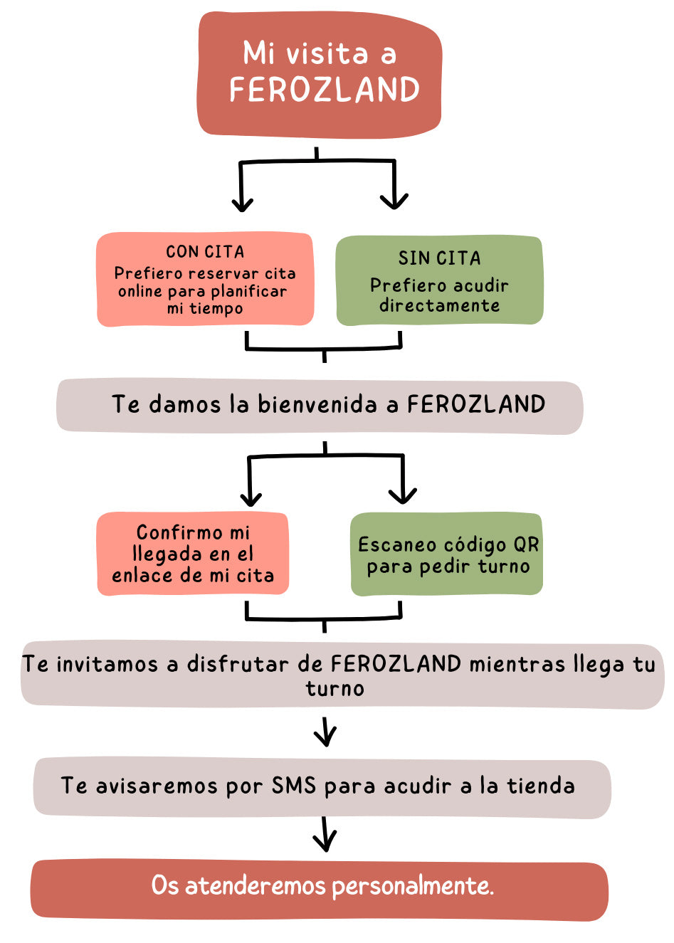 Diagrama mi visita a Ferozland