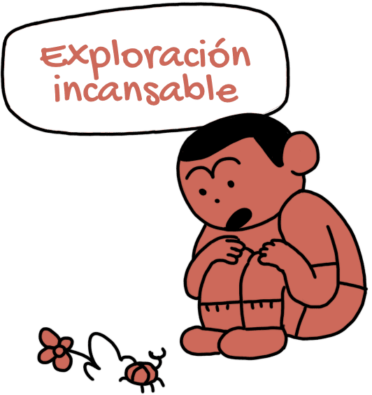 exploracion incansable  | Zapato Feroz