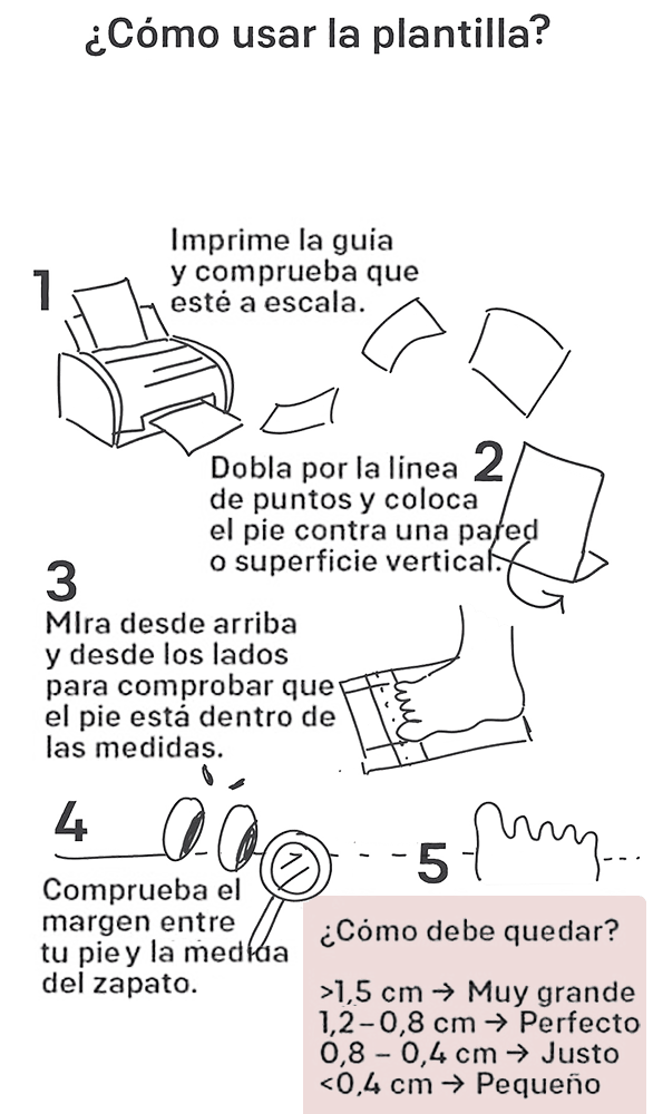 Infografía de como usar la guía de tallas Feroz