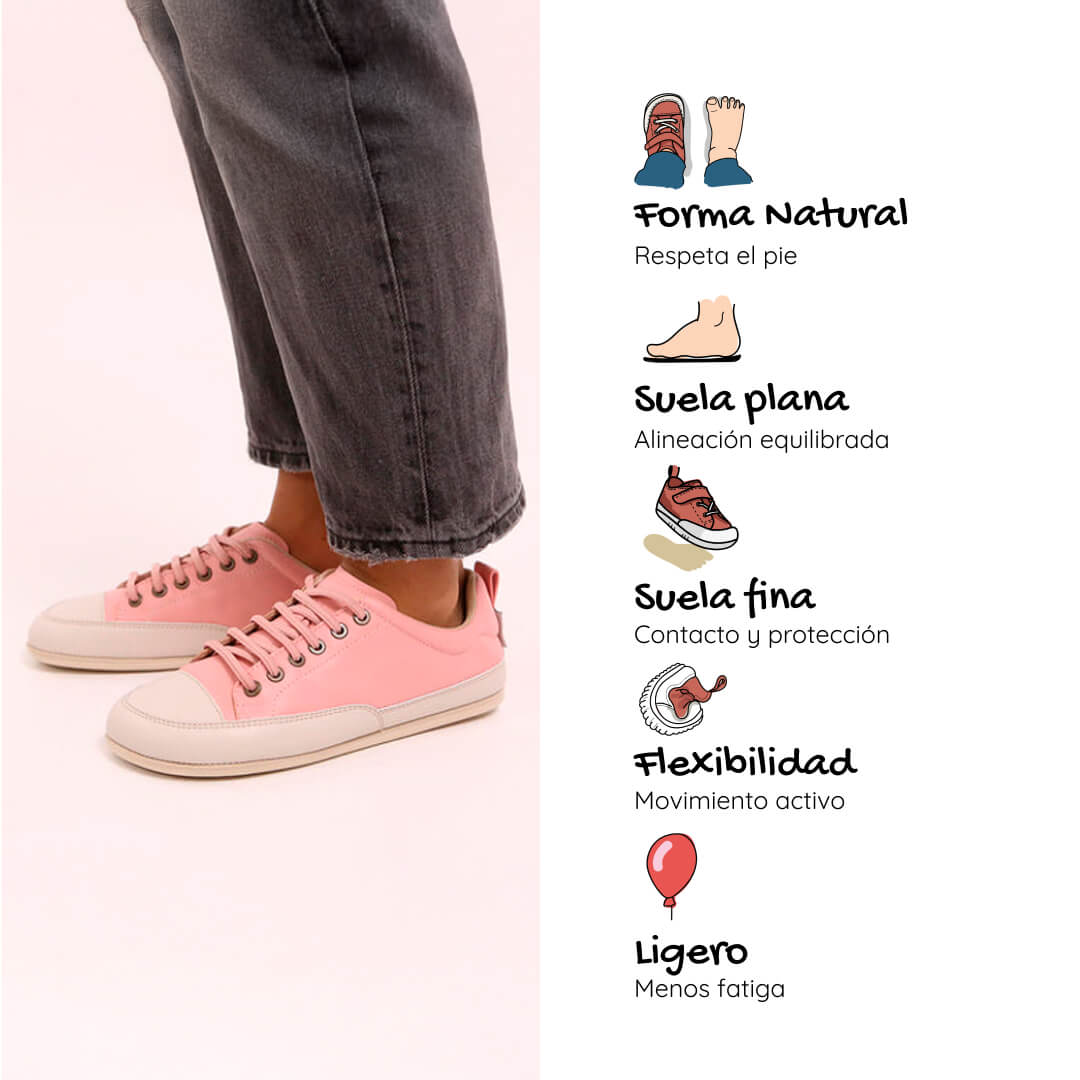 Jerica ss26 adulto caracteristicas 2