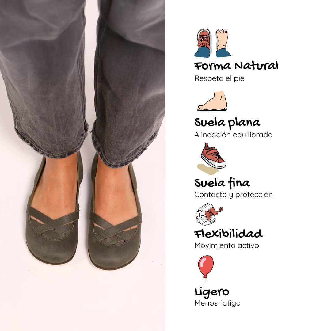 Olba ss26 adulto caracteristicas 2