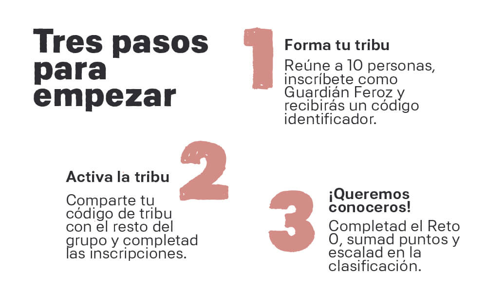 Tres pasos para empezar el reto